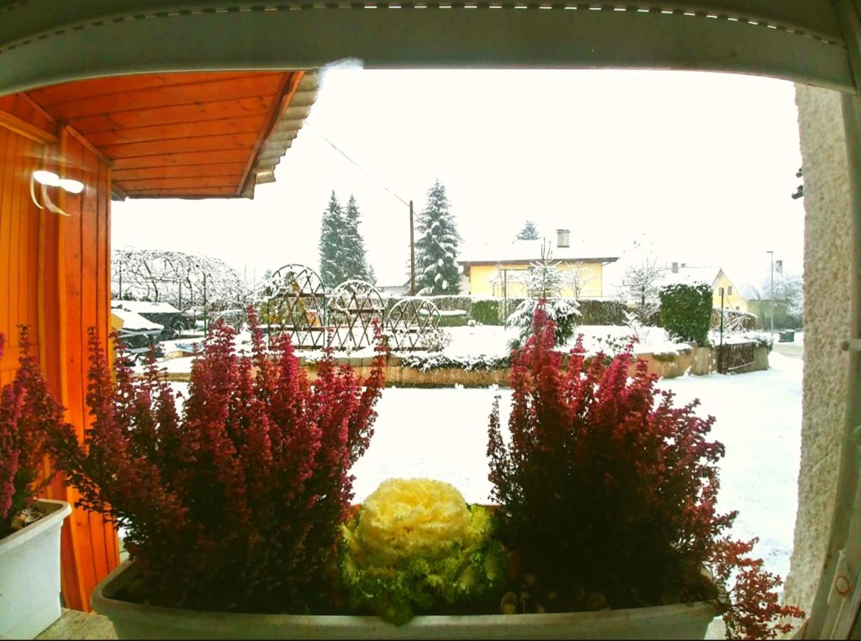 Apartma Franko *